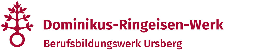 logo drw